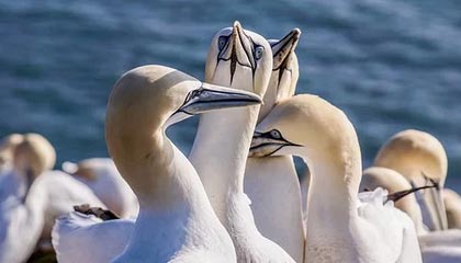 开云体育在线-米乐m6yy易游：用一款App重新定义你的出行体验