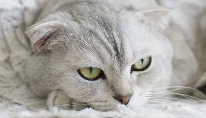 开云体育在线-米乐m6yy易游：用一款App重新定义你的出行体验